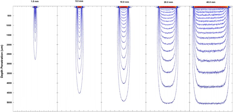 Laser light penetration into tissue